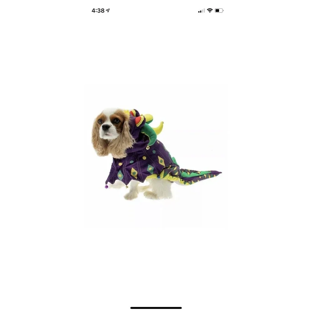 Mardi Paws Dragon Dog Halloween Costume from PamPet/PuppeLove -‎ Size XS